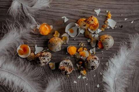 Cracked quail egg with broken shell in box on grey background Stock Photos