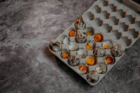 Cracked quail egg with broken shell in box on grey background Stock Photos