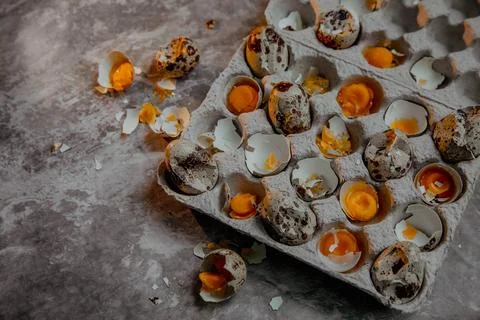 Cracked quail egg with broken shell in box on grey background Stock Photos