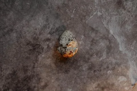 Cracked quail egg with broken shell on grey background Stock Photos