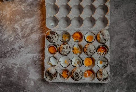 Cracked quail egg with broken shell in box on grey background Stock Photos