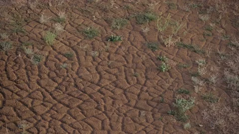 Cracked red soil. Green grass. Moving shadow. Video stock 87732196