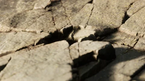 Cracked rock surface showing texture and patterns in natural setting Stock Footage 342808695