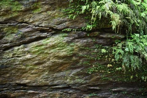 Cracked rocks Foto stock