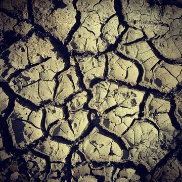 Cracked sandy ground texture Stock Photos