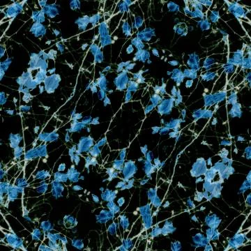 Cracked Seamless Pattern Texture イラスト素材