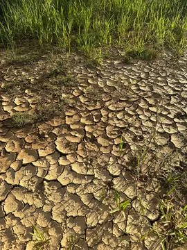 Cracked soil affected by drought Stock Photos