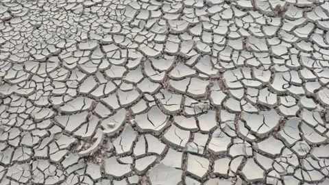 Cracked soil after drainage Stock Footage 157175370
