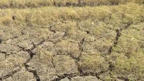 Cracked soil and dry river water sources lake drying cracked earth ecosystems Vídeo Stock 334030502