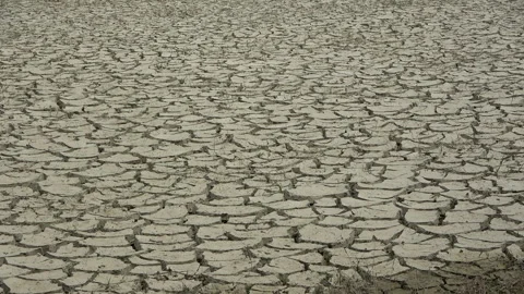 Cracked soil in arid area Video stock 263338913