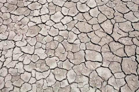 Cracked soil background Stock Photos