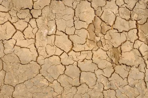 Cracked soil background Stock Photos
