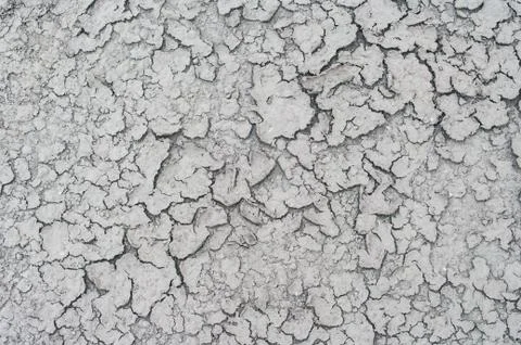 Cracked soil background. Stock Photos