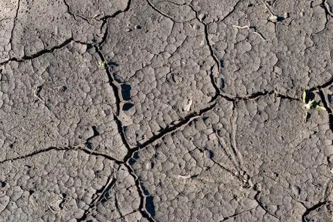 Cracked soil background Foto stock
