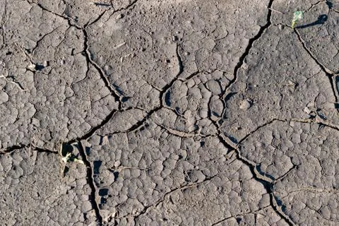 Cracked soil background Stock Photos