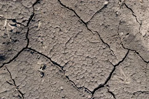 Cracked soil background Stock Photos