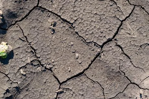 Cracked soil background Stock Photos