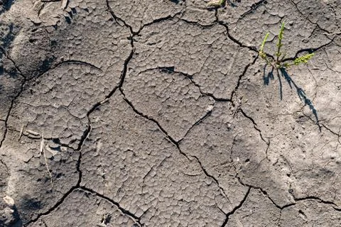 Cracked soil background Stock Photos