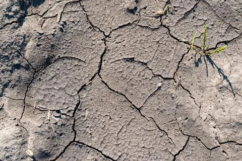 Cracked soil background Stock Photos