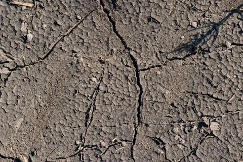 Cracked soil background Stock Photos