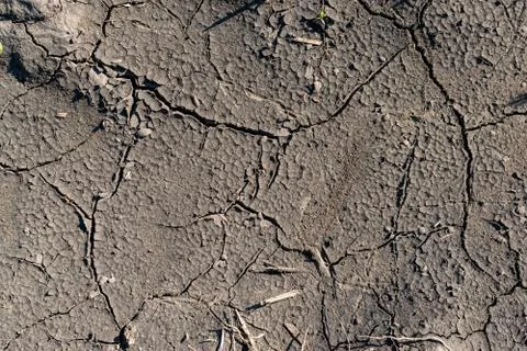 Cracked soil background Stock Photos