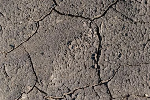 Cracked soil background Stock Photos