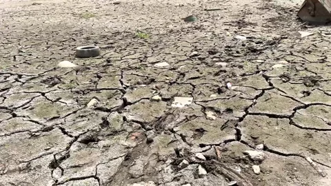 Cracked soil caused by drought, river pollution, dehydrated clay soil, harmful Stock Footage 246374425