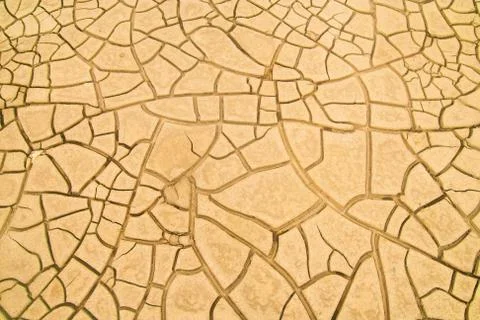 Cracked soil in the desert Stock Photos