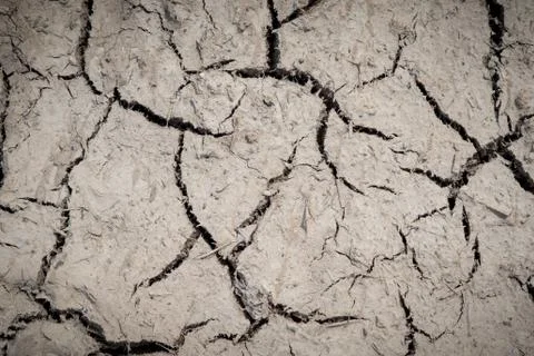 Cracked soil dry earth texture,background Stock Photos