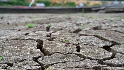 Cracked soil Stock Footage 221976786