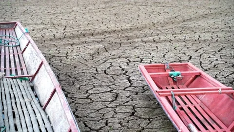 Cracked soil Stock Footage 221978742