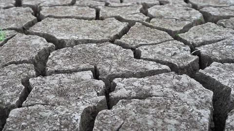 Cracked soil Stock Footage 221980179
