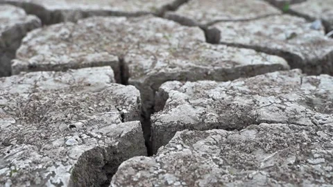 Cracked soil Stock Footage 221980509