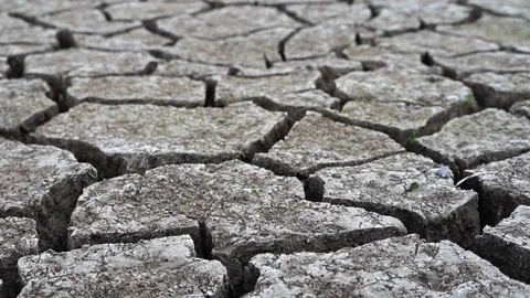 Cracked soil Stock Footage 221980928