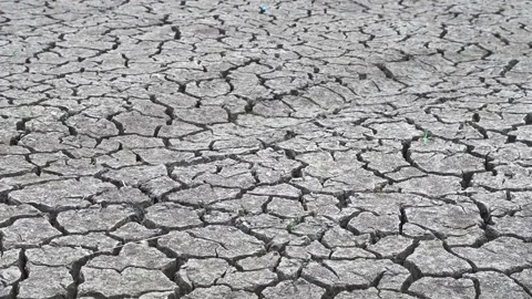 Cracked soil Stock Footage 222086019
