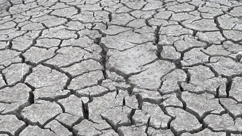 Cracked soil Stock Footage 222086025