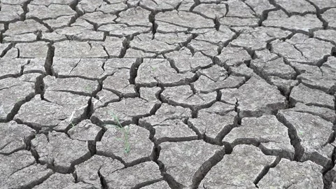 Cracked soil Stock Footage 222100329