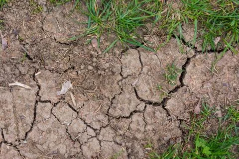 Cracked Soil Grass Texture Stock Photos