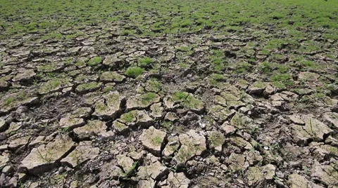 Cracked soil ground Stock Footage 38985793