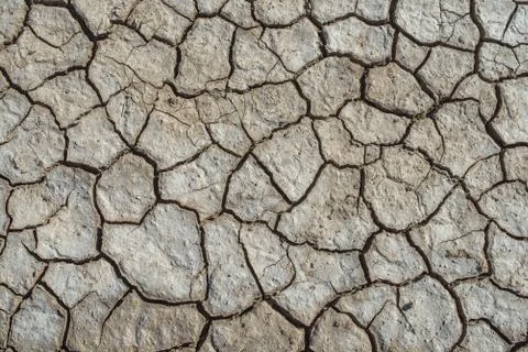 The cracked soil ground Stock Photos