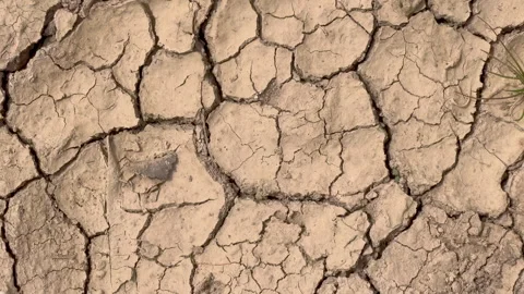 Cracked soil in the lake bed drying out due to global warming and drought Stock Footage 260483280