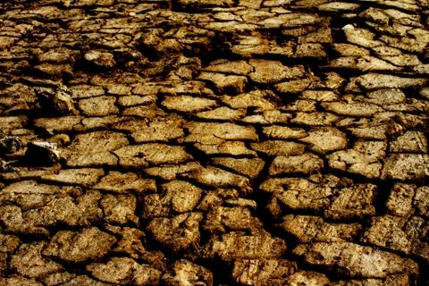 Cracked soil Stock Photos