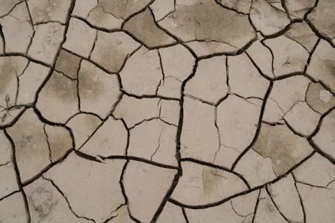 Cracked soil Stock Photos