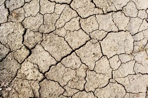 Cracked soil Stock Photos