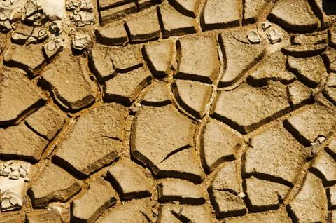 Cracked soil Stock Photos