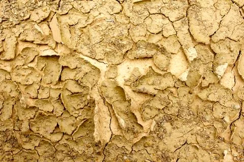 Cracked soil. Stock Photos