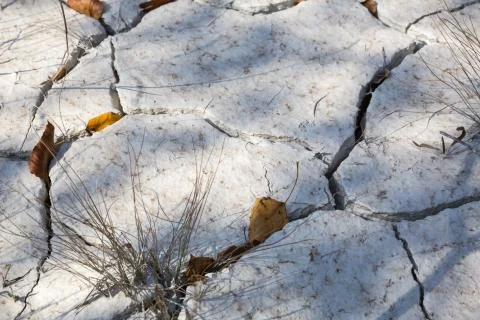 Cracked soil Stock Photos