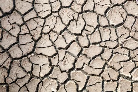 Cracked soil Stock Photos