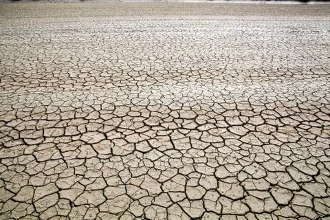 Cracked soil Stock Photos