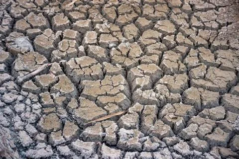 Cracked soil Stock Photos